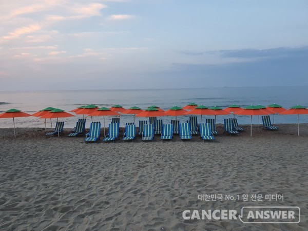 BTS 앨범 촬영 장소에 똑같은 벤치를 설치해놓았다.