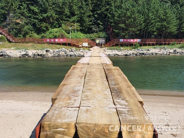 맹방해변과 덕봉산을 연결하는 나무다리.