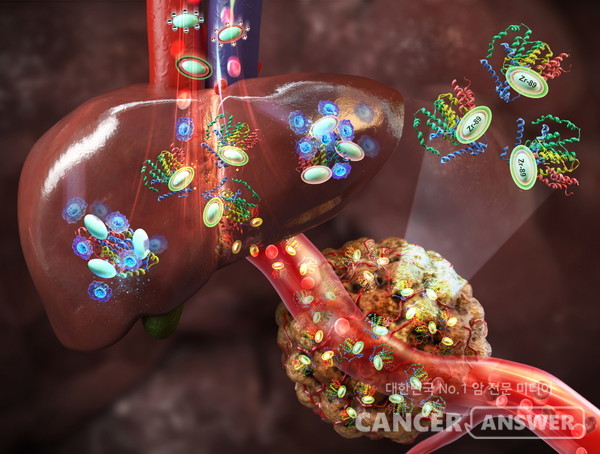지르코늄-89 철 나노입자가 종양에 도달하는 모습을 설명하는 이미지 /한국원자력연구원