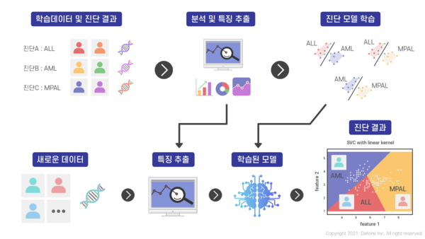 유전자 발현량 활용한 급성백혈병 감별 진단 머신러닝 모델 모식도.