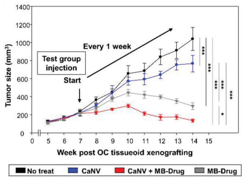 마우스 모델에서 치료제 단독 투여했을 때(회색)보다 난소암 치료제를 탑재한 나노베지클을 투여했을 때(빨간색)에 암세포 크기를 더 줄일 수 있었다. / 자료 세브란스병원