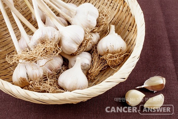 한식 요리에 빠지지 않고 들어가는 마늘은 최고의 항암식품으로 알려졌다./게티이미지뱅크