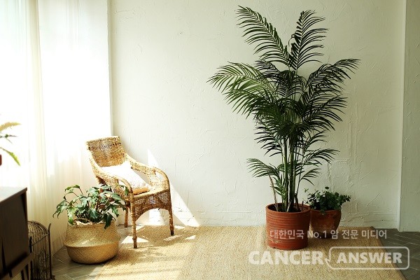 건강을 위해 실내 습도를 적절하게 유지할 필요가 있다./게티이미지뱅크