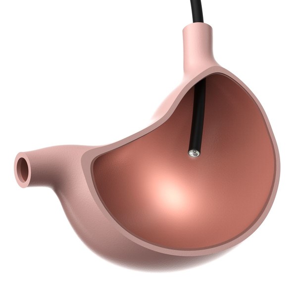 위내시경 검사 /게티이미지뱅크