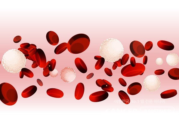 호중구는 백혈구 세포 중 하나다. 백혈구는 크게 림프구, 과립구, 대식세포로 나뉘는데, 호중구는 과립구에 속한다. 과립구의 약 95%가 호중구다./게티이미지뱅크