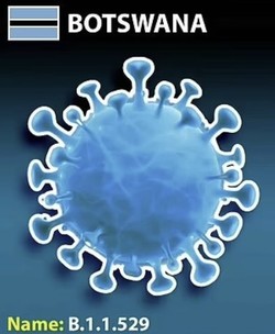 코로나19 '오미크론' 변이 바이러스가 보츠와나에서 처음 발견된 뒤 남아공 등 아프리카에서 확산되고 있다.