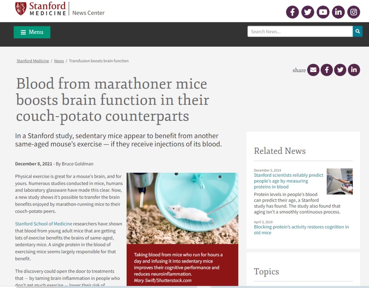 달리기를 좋아하는 쥐에게 잘 뛸 수 있는 환경을 조성해 '마라토너' 쥐를 길러 그 피를 뛰지 않는 쥐에게 주입할 때 피를 받은 쥐의 뇌가 활성화된다는 스탠퍼드 의대의 연구결과를 소개한 '스탠퍼드 메디슨'.