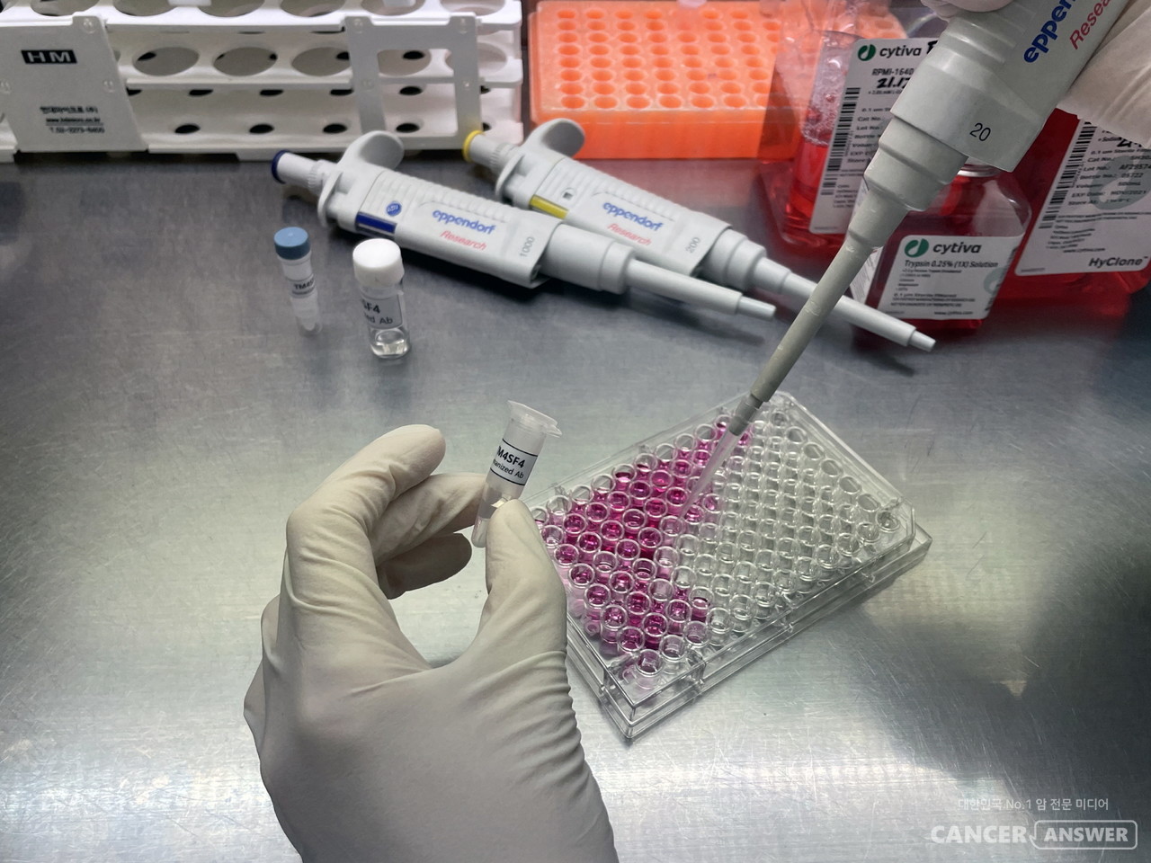 한국원자력연구원 연구진이 ‘TM4SF4 항체항암제 후보물질’을 암세포 배양액에 처리하고 있다. / 한국원자력연구원