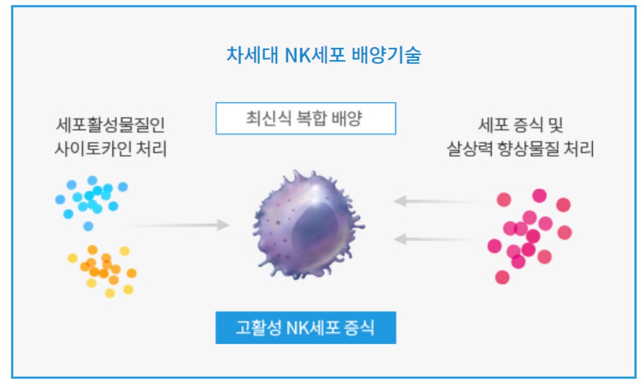 슈퍼NK 배양 개념도./ NKMAX