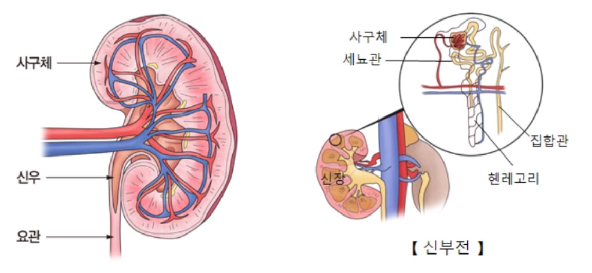 자료=서울아산병원.