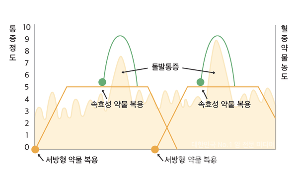 출처/국가암정보센터
