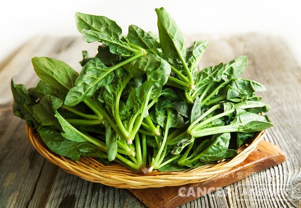 겨울 시금치는 향이 진하고 맛이 좋기로 유명하다./게티이미지뱅크