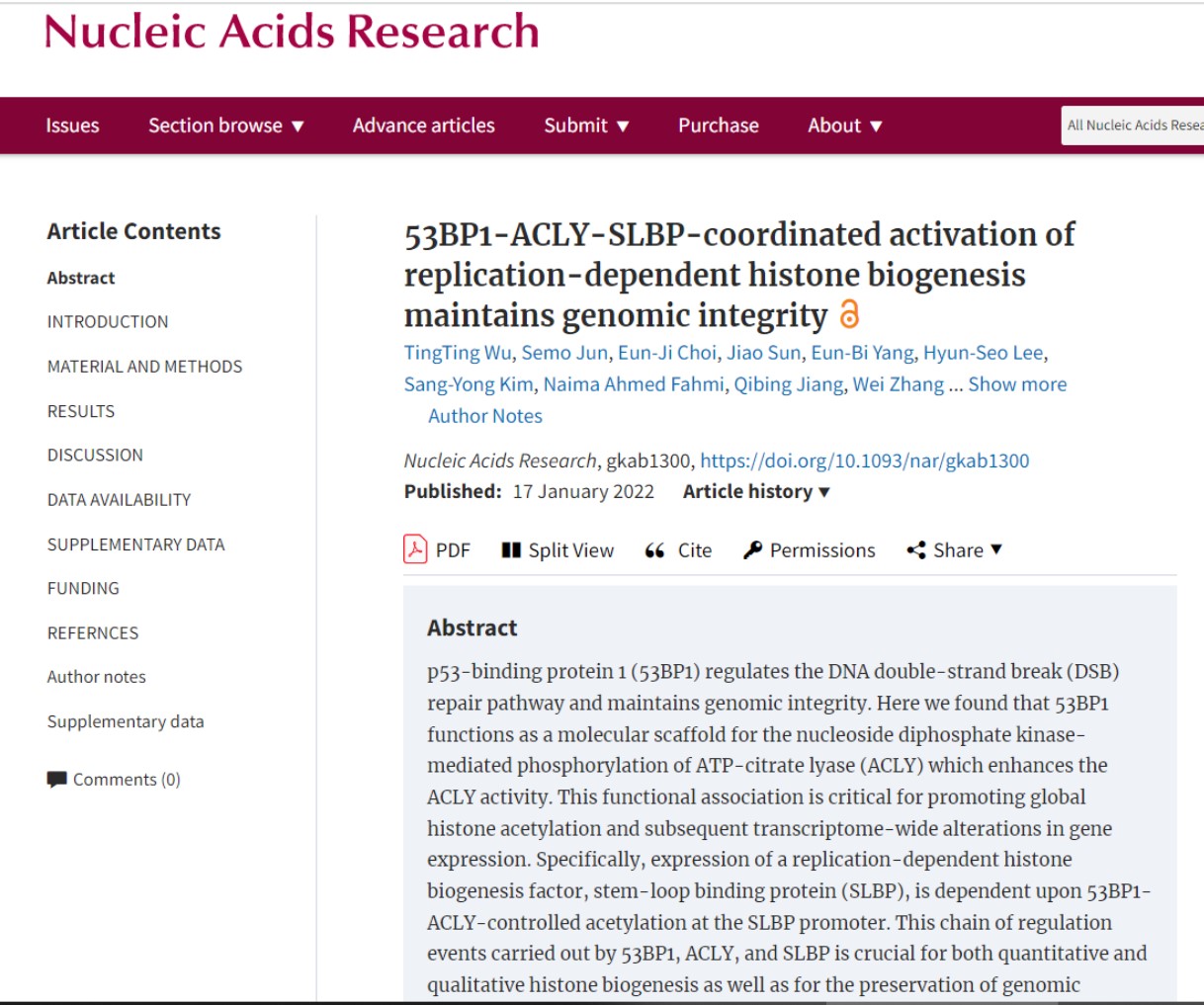DNA 손상을 복구해 '게놈 안정화'를 유지함으로써 암을 치료할 수 있는 방법에 대한 연구를 소개한 'Nucleic Acids Reaserch'.