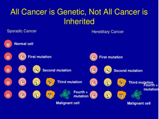 모든 암은 특유의 유전자와 관계 있지만, 모든 암이 유전되는 것은 아니다. 
