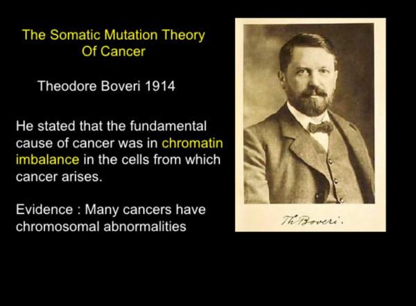 암의 원인으로 '유전자 이상설'을 주장한 테오도어 보베리(독일).