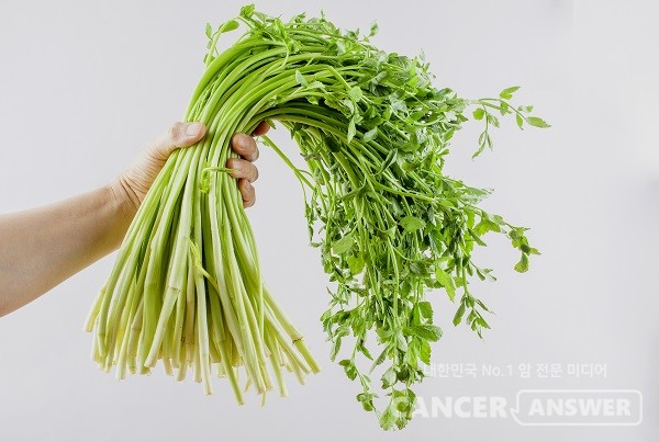 건강에 좋은 미나리가 제철을 맞아 맛과 향을 뽐내고 있다./게티이미지뱅크