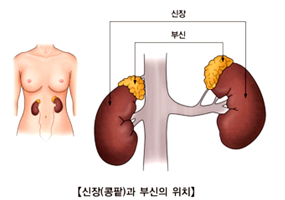 자료 서울아산병원