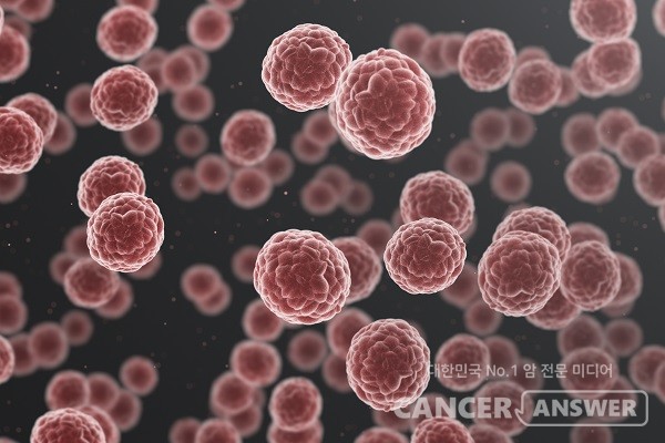 유전성 암 유전자가 있는 사람은 관련 암 발병 확률이 증가한다./게티이미지뱅크