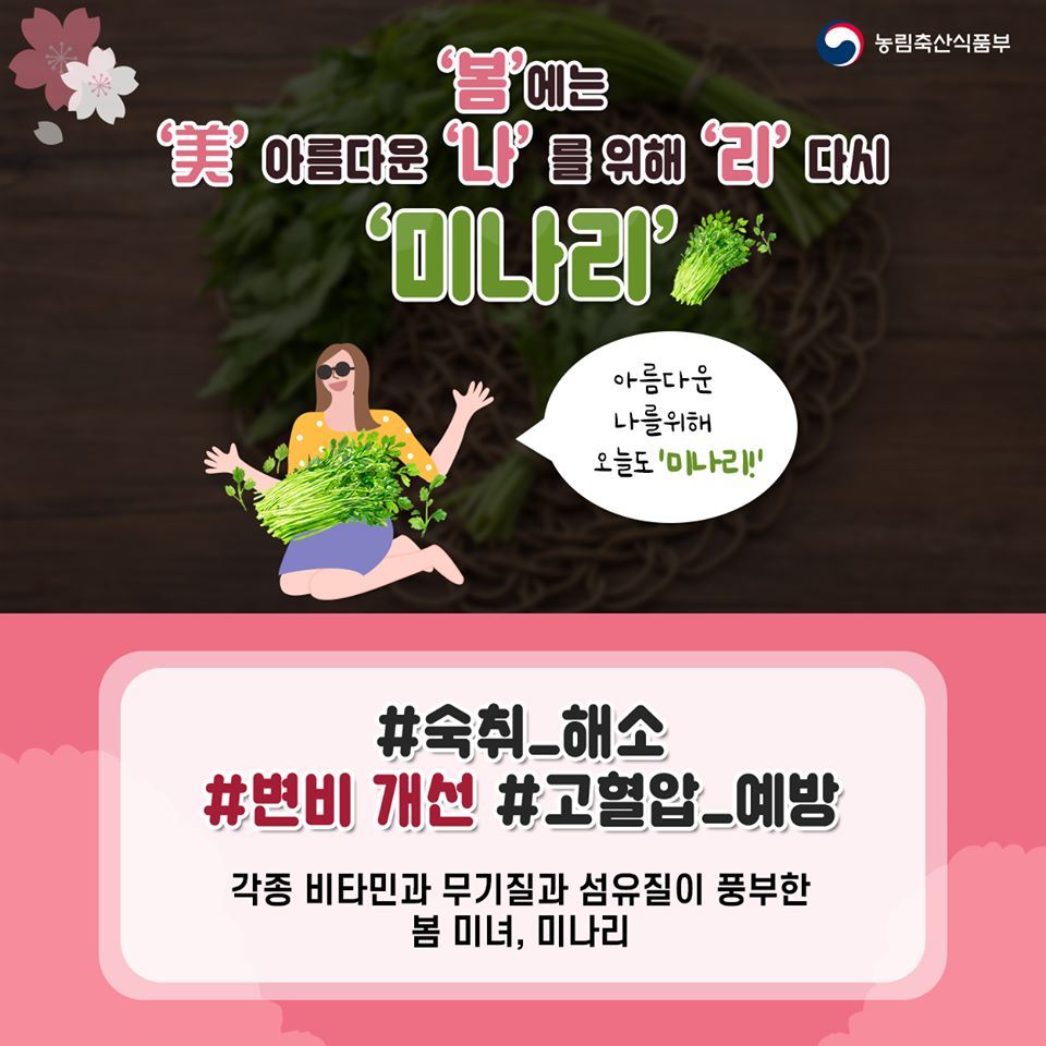 대한민국 정책브리핑