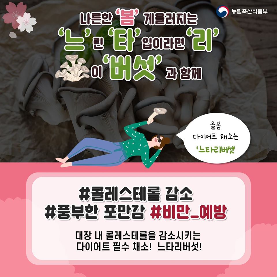 대한민국 정책브리핑