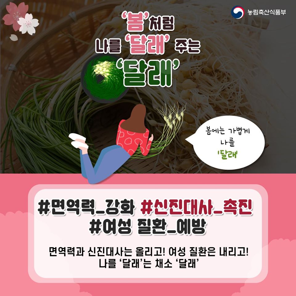 대한민국 정책브리핑