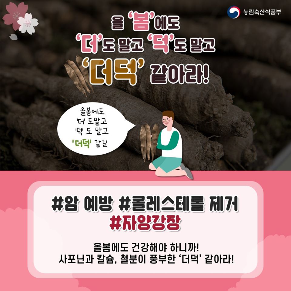 대한민국 정책브리핑