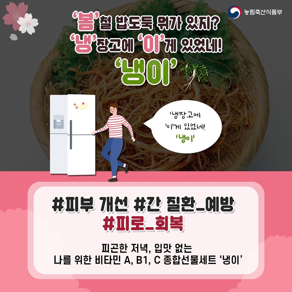 대한민국 정책브리핑