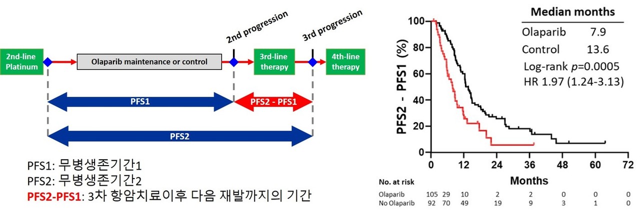 3차 항암 치료 이후 다음 재발까지 기간을 나타내는 PFS2-PFS1이 올라파립군에서 대조군에 비해 약 5.6개월 정도 짧게 나타났다. / 세브란스병원