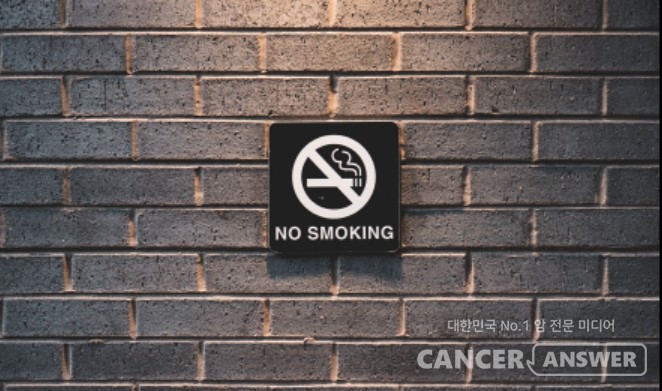 흡연으로 인한 사망자 수가 국내에서 한해 5만명이 넘는다고 질병관리청이 발표했다. / unsplash