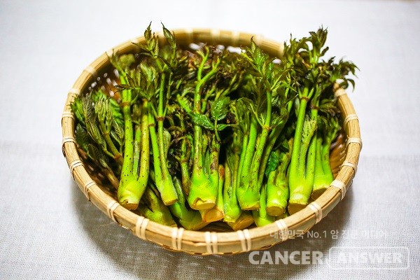 제철 두릅과 돌나물은 환절기 면역력 강화에 도움이 된다./게티이미지뱅크