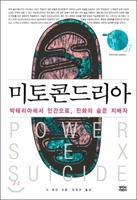 세포자멸사 과정과 미토콘드리아는 밀접한 관계가 있습니다.