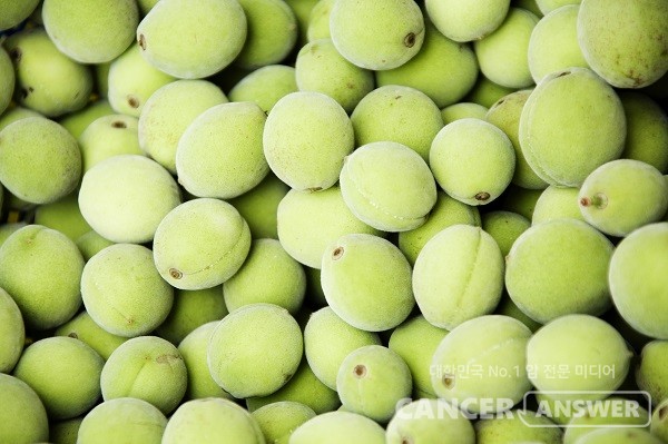 매실과 오디가 제철을 맞았다./게티이미지뱅크