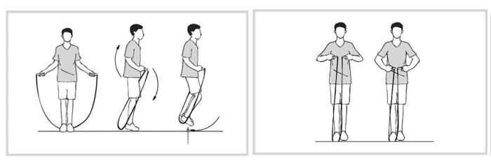 줄넘기의 바른자세와 적당한 줄의 길이. / 대한줄넘기협회