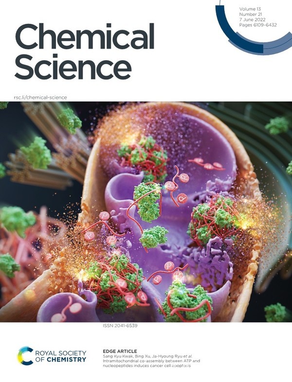 암 세포 미토콘드리아 안에 형성된 분자 덩어리가 미포콘드리아 막을 훼손하는 모습 /울산과학기술원
