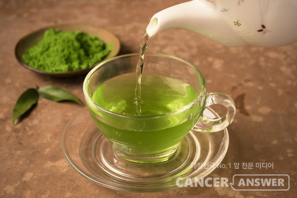 녹차잎에 풍부한 EGCG 성분은 암 세포 성장과 증식을 막는 것으로 나타났다. /게티이미지뱅크