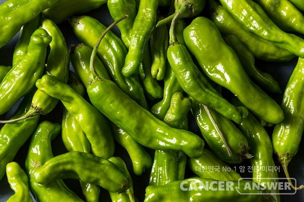 깻잎과 꽈리고추가 맛과 영양을 뽐내는 제철이다./게티이미지뱅크