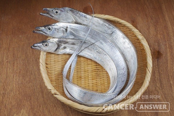 '국민 생선' 갈치가 제철을 맞았다./게티이미지뱅크