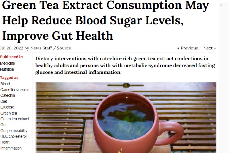 녹차의 고혈합, 대사증후군, 장 건강 등에 대한 효과를 소개한 'Sci-news.com'.