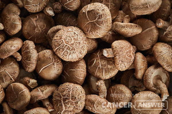 가을이 제철인 표고버섯은 암세포 증식을 억제하는 데 도움을 주는 성분이 풍부하다./게티이미지뱅크