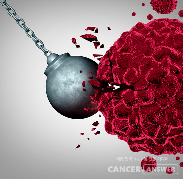 항체에 항암체를 결합시켜 투여하는 항체약물접합체(ADC)가 눈길을 끈다./게티이미지뱅크