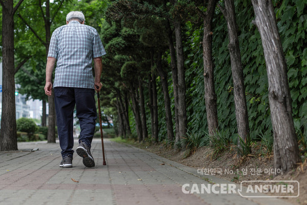 노인은 걷기 능력에 따라 장애 발생 위험이 다르다. 의자에서 일어나 왕복 6m를 걷고 다시 의자에 앉을 때까지 10초 이상 걸리는 노인은 심신 장애가 생길 위험이 크다./게티이미지뱅크