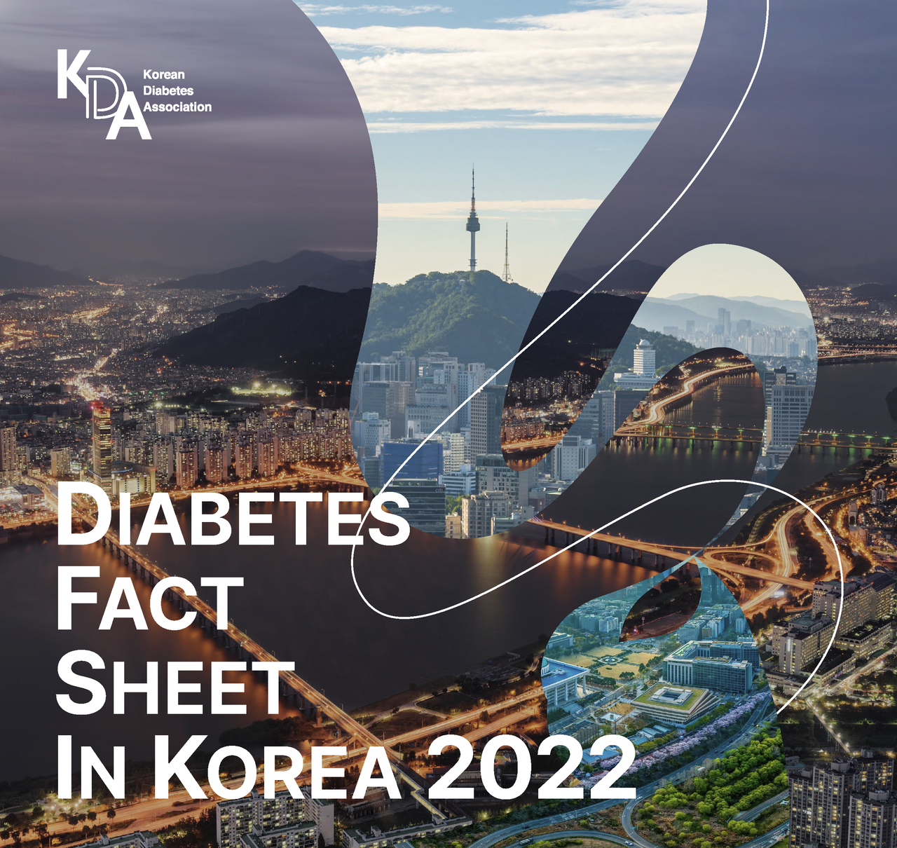 당뇨병환자의 합병증으로 인한 사망 위험을 경고한 대한당뇨병학회의 'Diabetes Fact Sheet 2022'.