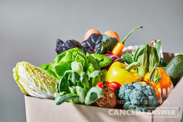 암 예방을 위해 채소와 과일을 적절하게 섭취하면 좋다./게티이미지뱅크