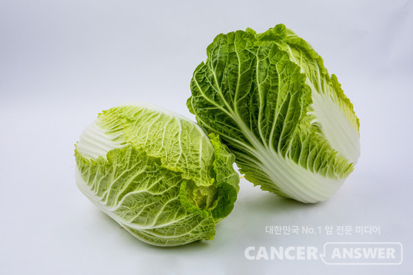 배추는 암 예방과 면역력 강화에 좋다고 알려졌다./게티이미지뱅크