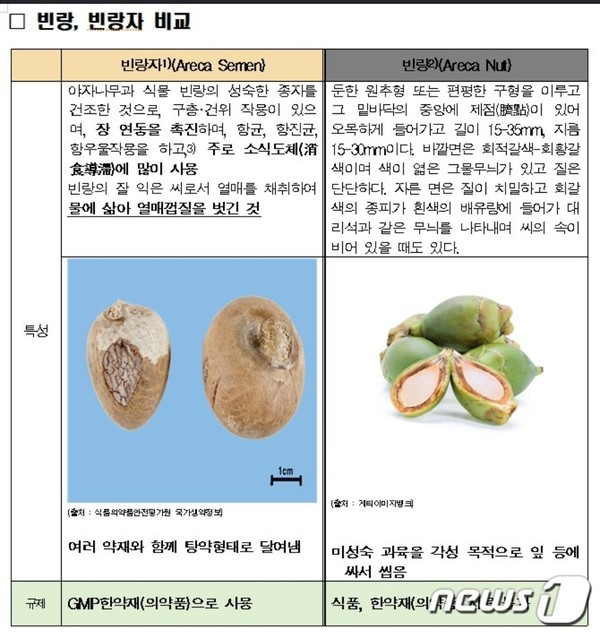 구강암 유발 열매로 알려진 빈랑과 한약재로 안전하게 쓰인다는 빈랑자 비교./대한한의사협회 제공