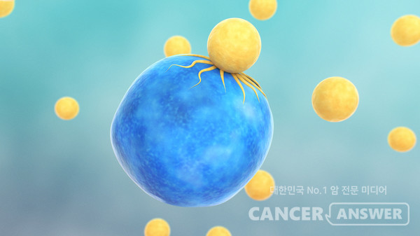 카티세포 치료는 최근 가장 주목받는 암 치료법으로 꼽힌다./게티이미지뱅크