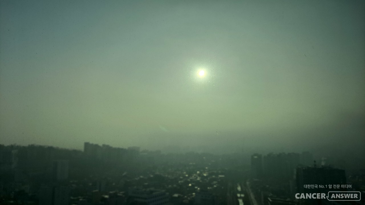 미세먼지에 많이 노출될수록 뇌 손상이 심해져 뇌혈관질환 발생 가능성이 높아진다는 연구결과가 나왔다. / 캔서앤서DB