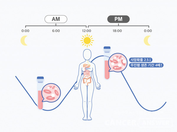 일주기 리듬을 고려한 시간항암요법. /기초과학연구원(IBS)