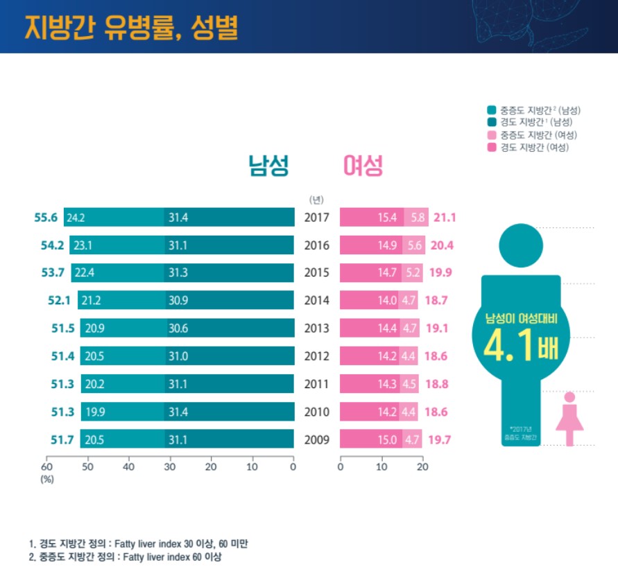 자료 '지방간과 당뇨병 통계 2022'