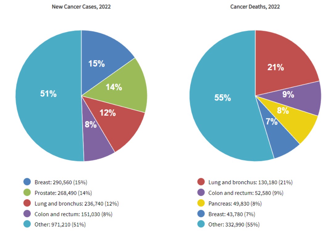 2022년 새로 발생한 암은 유방암이 가장 많고, 폐암과 기관지암이 가장 높은 사망률을 보인 것으로 나타났다. / NCI